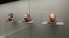 p5070050_thumb.jpg