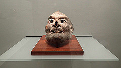 p5070057_thumb.jpg
