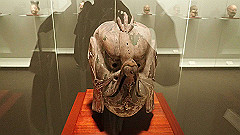 p5070060_thumb.jpg