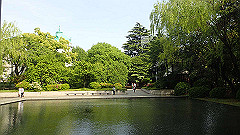 p5070075_thumb.jpg