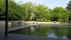 p5070076_thumb.jpg