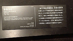 p5070086_thumb.jpg
