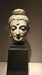 p5070088_thumb.jpg