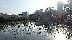 p5070094_thumb.jpg