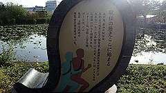 p5070095_thumb.jpg