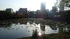 p5070096_thumb.jpg