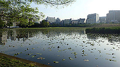 p5070097_thumb.jpg