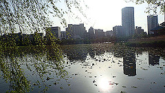 p5070098_thumb.jpg
