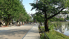 p5070099_thumb.jpg