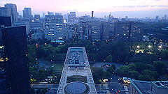 p5070106_thumb.jpg