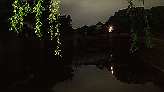 p5070133_thumb.jpg