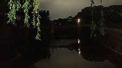 p5070134_thumb.jpg