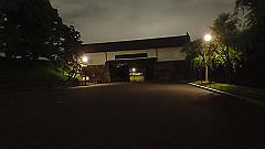 p5070139_thumb.jpg