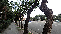 p5120098_thumb.jpg