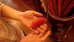 p5120161_thumb.jpg