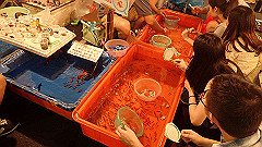 p5120201_thumb.jpg