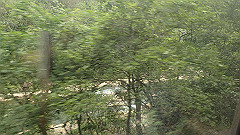 p5130250_thumb.jpg