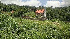 p5130254_thumb.jpg