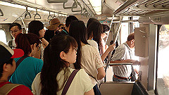 p5130263_thumb.jpg