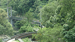 p5130287_thumb.jpg