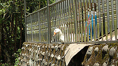 p5130290_thumb.jpg