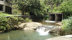p5130291_thumb.jpg