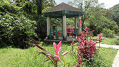 p5130292_thumb.jpg