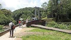 p5130293_thumb.jpg