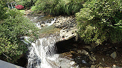 p5130299_thumb.jpg