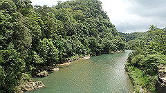 p5130302_thumb.jpg