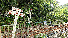 p5130304_thumb.jpg