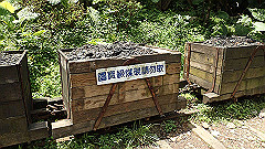 p5130307_thumb.jpg