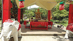 p5130317_thumb.jpg