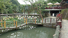 p5130320_thumb.jpg