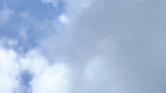 p5130367_thumb.jpg