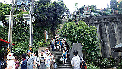 p5130404_thumb.jpg