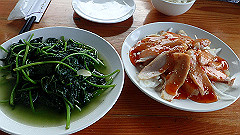 p5130438_thumb.jpg