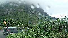 p5130469_thumb.jpg