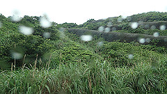 p5130490_thumb.jpg
