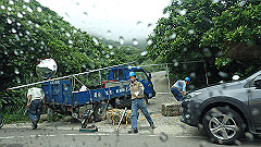 p5130491_thumb.jpg