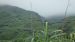 p5130506_thumb.jpg
