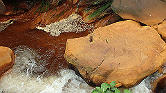 p5130511_thumb.jpg