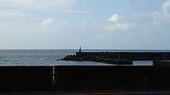 p5130523_thumb.jpg