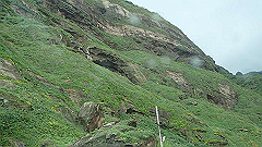 p5130525_thumb.jpg