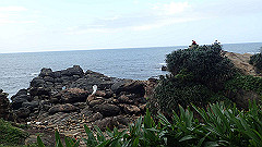 p5130526_thumb.jpg