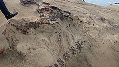 p5130531_thumb.jpg