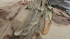 p5130540_thumb.jpg