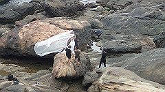 p5130543_thumb.jpg