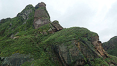 p5130550_thumb.jpg