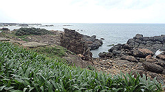 p5130553_thumb.jpg